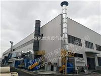 催化燃烧废气处理